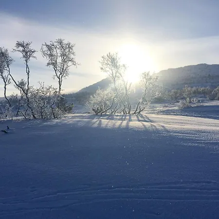 Awesome In Hovden I Setesdal Giskeli